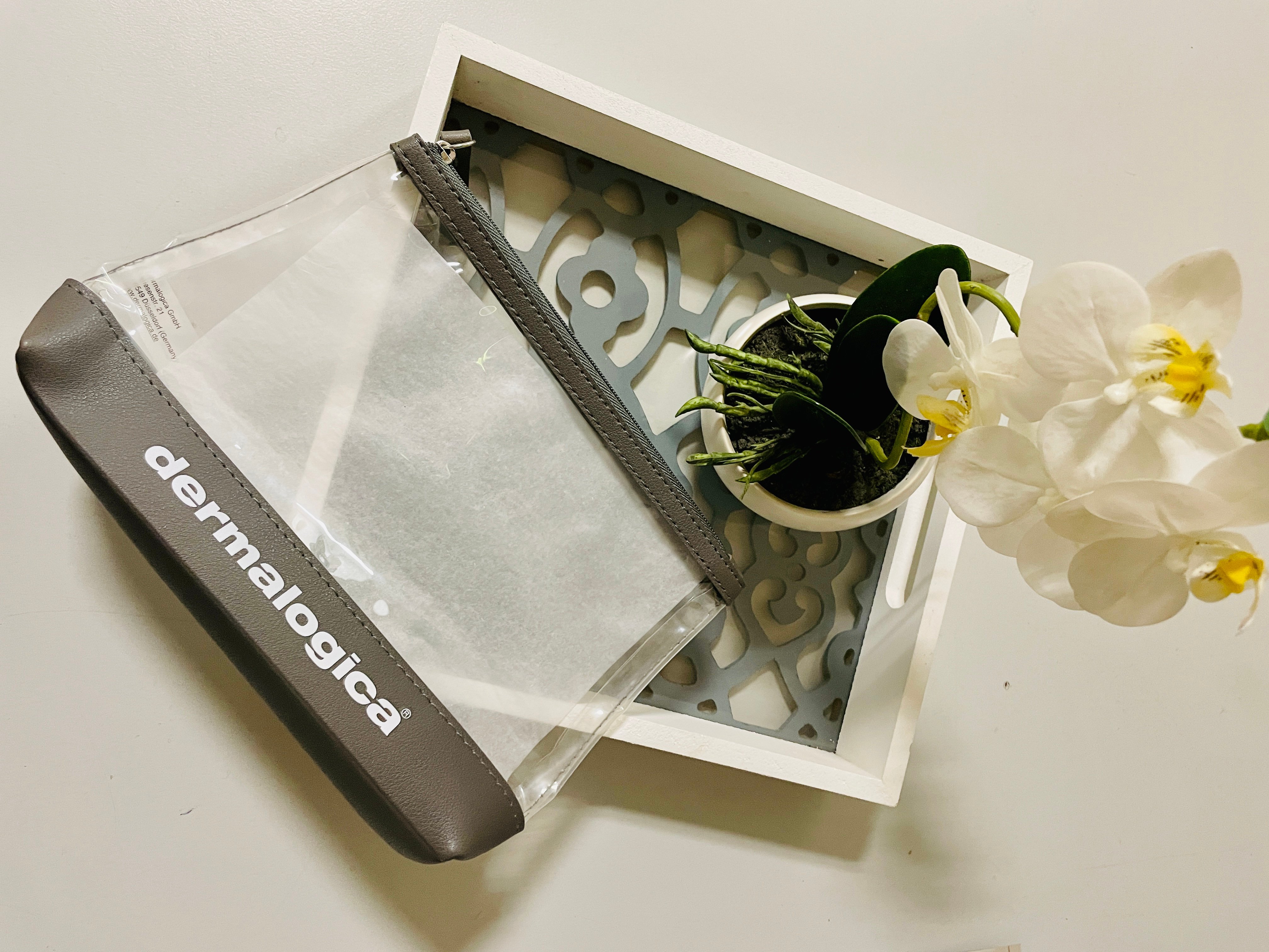 IMG_2316 Dermalogica Travel Bag Clear